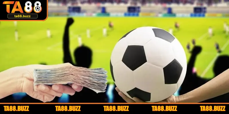 Tập trung vào tỷ lệ biến động trước trận đấu